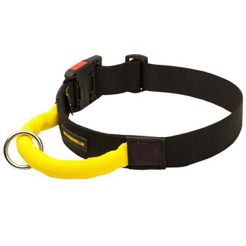 Advanced design nylon dog collar