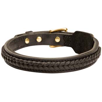 Well-made leather dog collar for Boxers