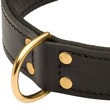 Order 2ply Cane Corso Leather Collar | Dog Walking | Training | No Handle