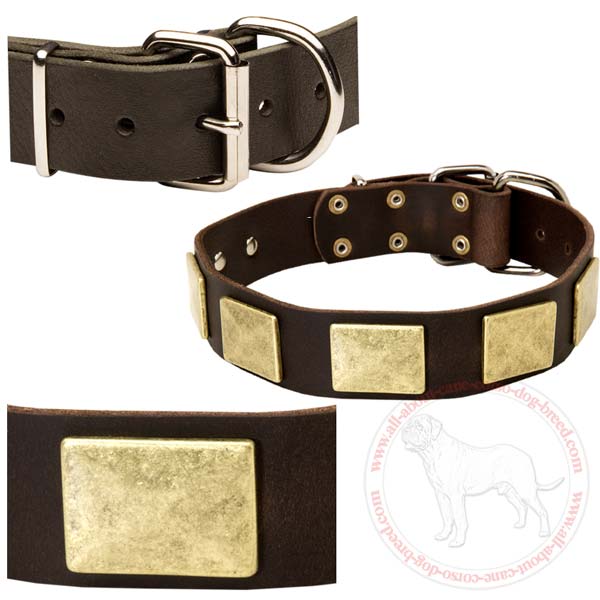 Designer dog collar for Bullmastiffs