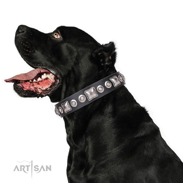 Fashionable decorated genuine leather dog collar for fancy walking