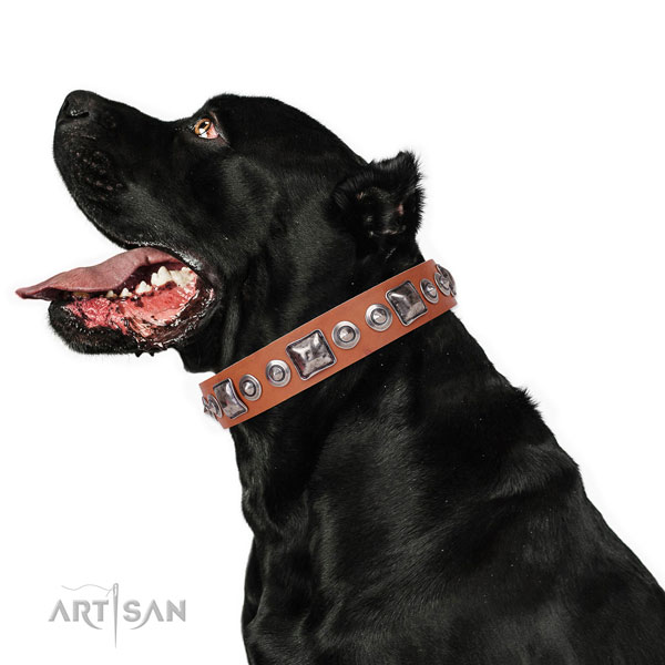 Fashionable decorated leather dog collar for comfortable wearing