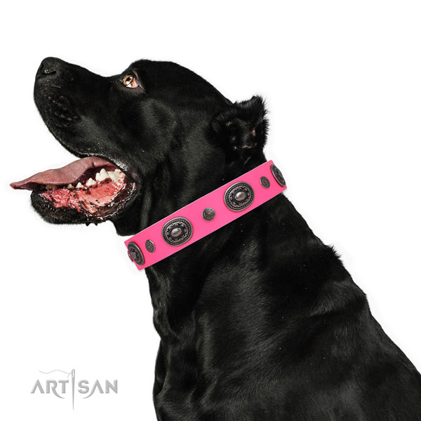 Natural leather dog collar with corrosion proof buckle and D-ring for everyday use