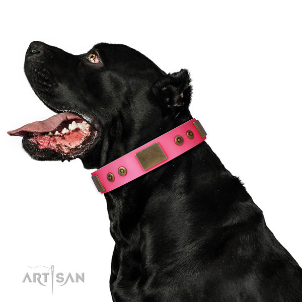 Extraordinary full grain leather collar for your attractive pet