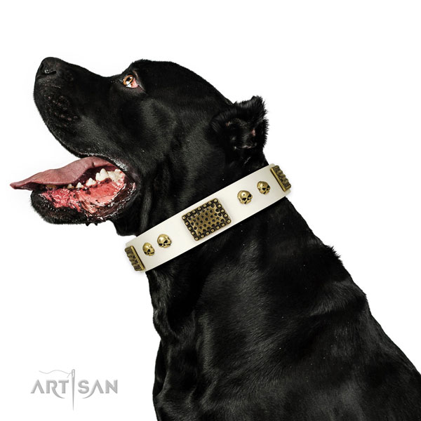 Durable D-ring on leather dog collar for comfy wearing