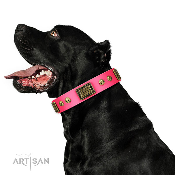 Rust-proof D-ring on full grain leather dog collar for stylish walking