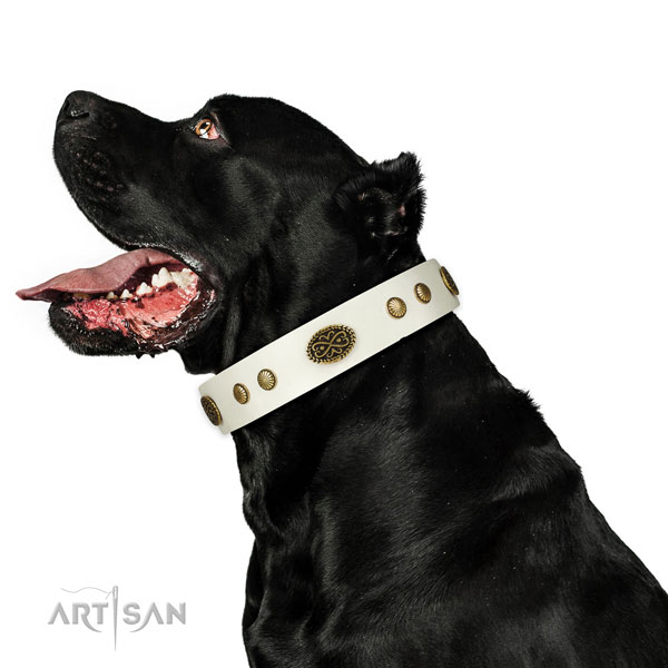 Rust-proof D-ring on leather dog collar for comfortable wearing