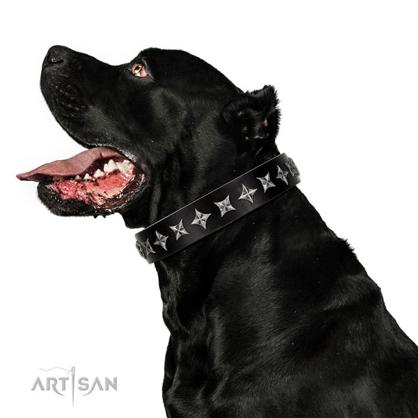 Everyday use decorated dog collar of reliable genuine leather