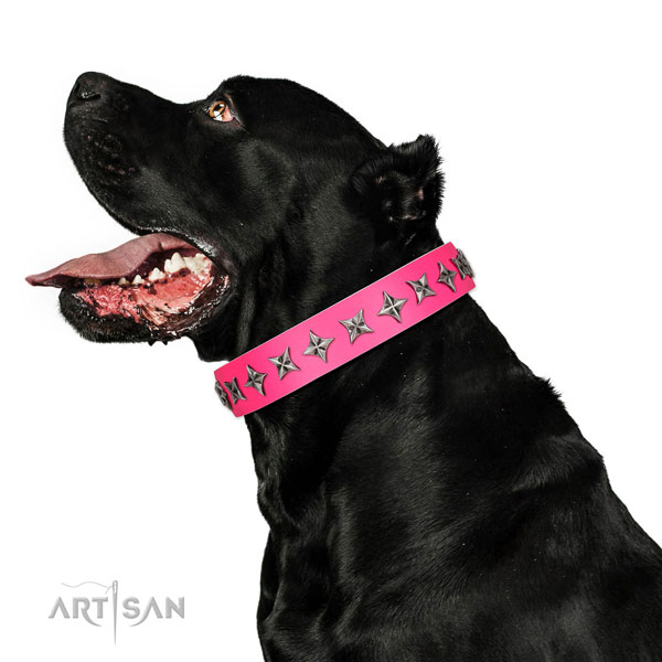 Finest quality full grain genuine leather dog collar with unusual embellishments