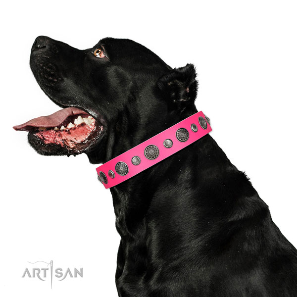 Handmade genuine leather dog collar with rust-proof hardware