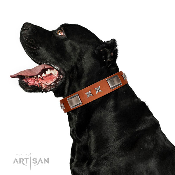 Daily walking flexible leather dog collar with decorations