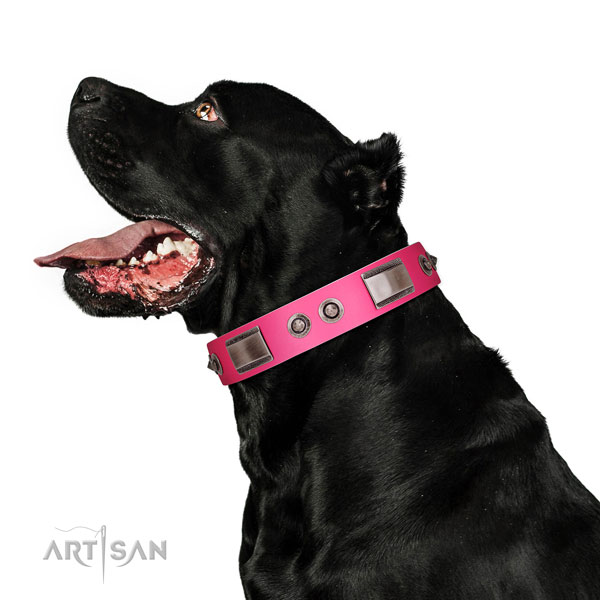 Trendy natural leather dog collar with decorations