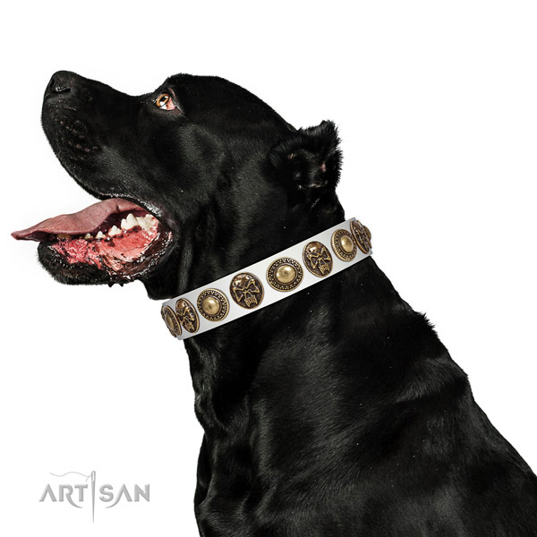 Exquisite leather collar for your lovely doggie