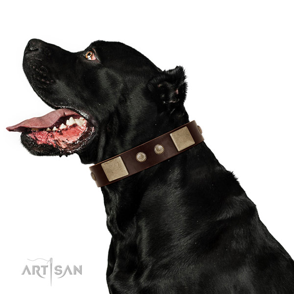Strong buckle on full grain genuine leather dog collar for daily use