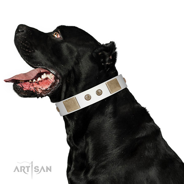 Durable D-ring on leather dog collar for comfy wearing