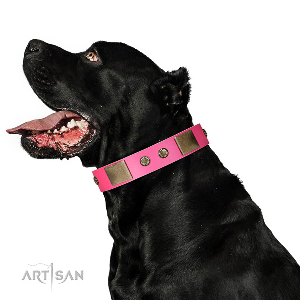 Corrosion resispinkt D-ring on natural leather dog collar for stylish walking