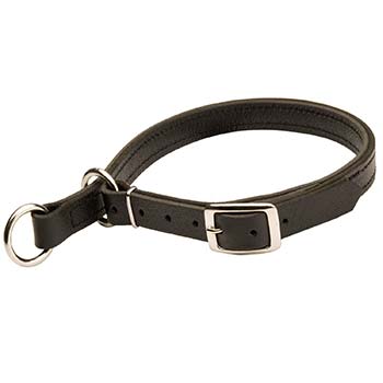 Leather Choke Collar for Cane Corso for Successful Training