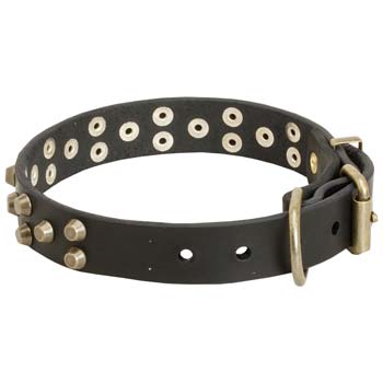 Cane Corso Leather Collar Easily Adjustable