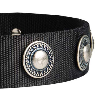 Cane Corso breed nylon dog collar with beautiful  decoration