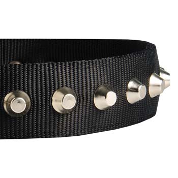 Cane Corso breed nylon dog collar with pyramids