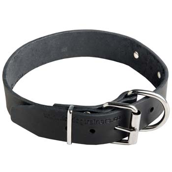 Reliable Cane Corso breed walking dog collar