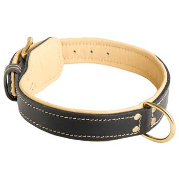 Cane Corso collar leather Nappa padded