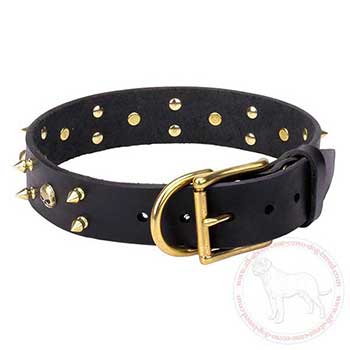 Leather Cane Corso collar with brass skulls and spikes