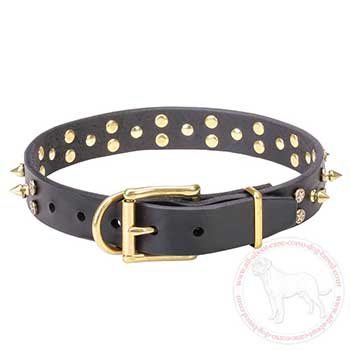 Leather Cane Corso collar with brass buckle and D-ring