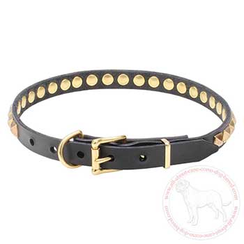 Leather Cane Corso collar with brass plated hardware