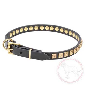 Leather Cane Corso collar with brass plated pyramids