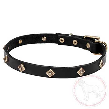 Leather Cane Corso collar with brass rhombi decoration