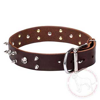 Decorated brown leather Cane Corso collar