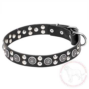 Leather Cane Corso collar with embossed circles and studs
