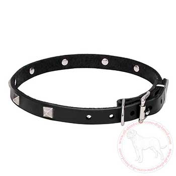 Leather Cane Corso collar with classical buckle and D-ring