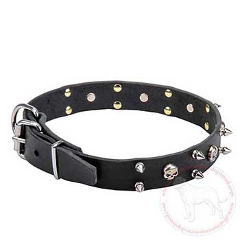 Leather Cane Corso collar for walking