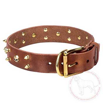 Designer leather Cane Corso collar with awesome decoration
