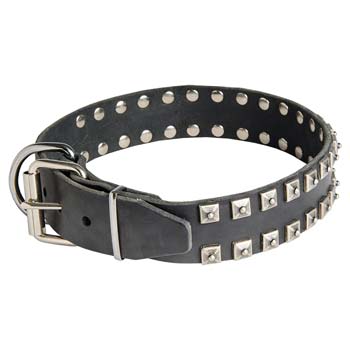 Designer studded leather Cane Corso collar