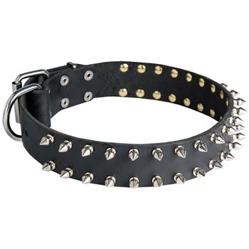 Durable fashion leather Cane Corso collar