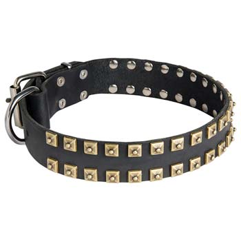 Fashion leather Cane Corso collar with two rows of brass studs