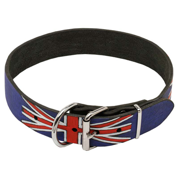 Cane Corso leather collar with nickel plated steel