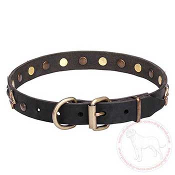 Leather Cane Corso collar with old-bronze plated fittings