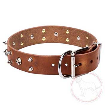 Leather Cane Corso collar adorned with skulls and spikes