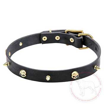 Leather Cane Corso collar for walking in style