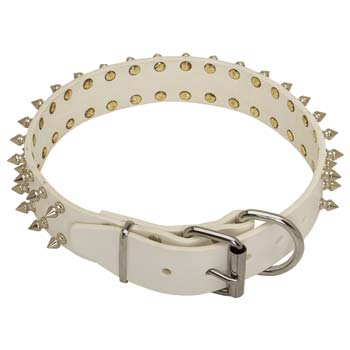 White Cane Corso leather collar with rust-proof fittings