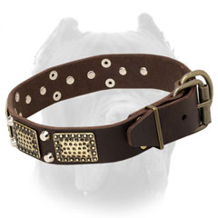 Leather Cane Corso collar with tough brass fittings