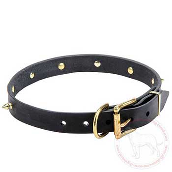 Leather Cane Corso collar with brass buckle and D-ring