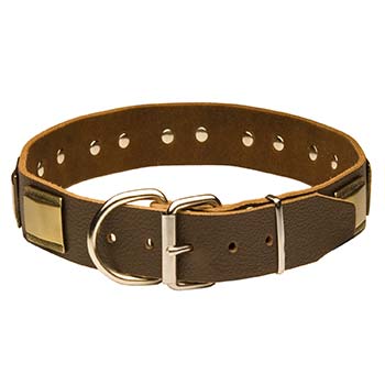 Cane Corso Leather Collar with Rust Resistant Hardware