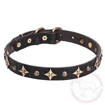 Leather Cane Corso collar adorned with stars and studs
