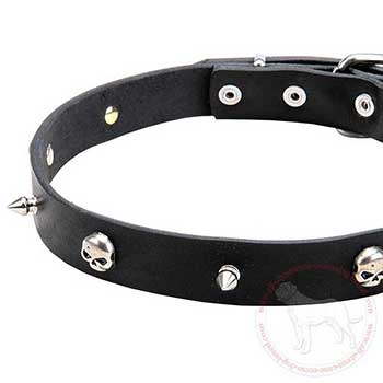 Leather Cane Corso collar with skulls and spikes
