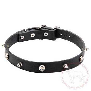 'Young Pirate' leather Cane Corso collar